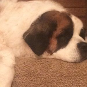 Christmas is coming faster than you think